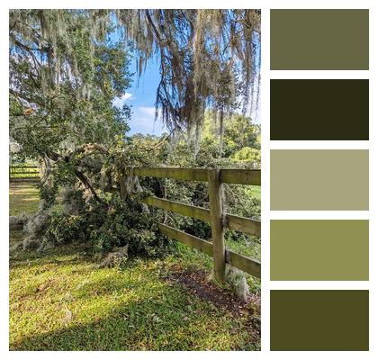 Oak Tree Farm Outdoors Fence Wood Wood Fence Damage Nature Countryside Image